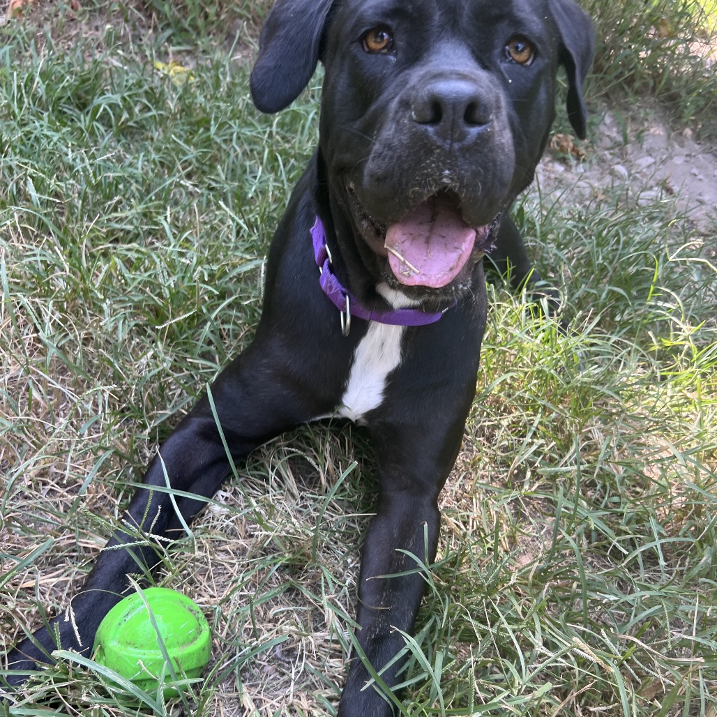 Agatha, photo 5