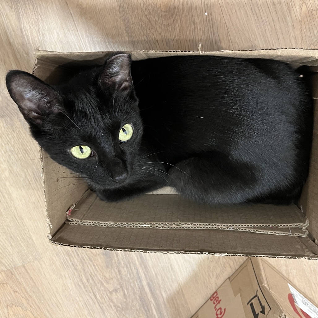 Photo of Derby