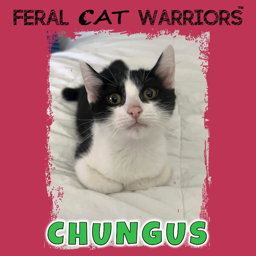 Chungus