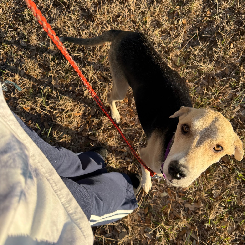 Princess Peach — thumbnail 9