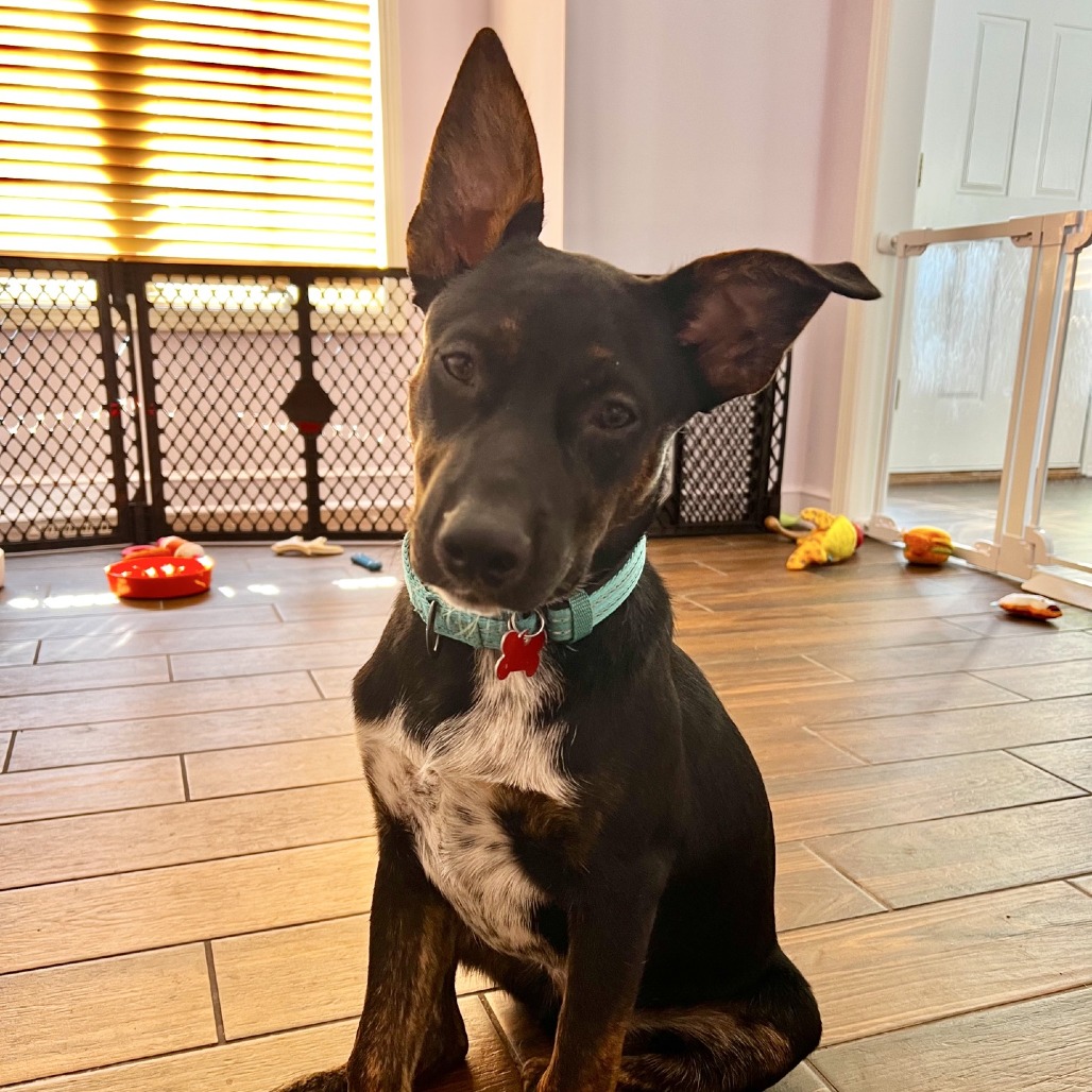 Buckee, photo 20