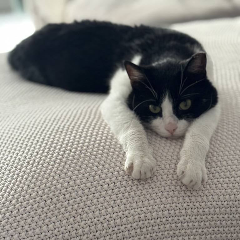 Harding — thumbnail 4