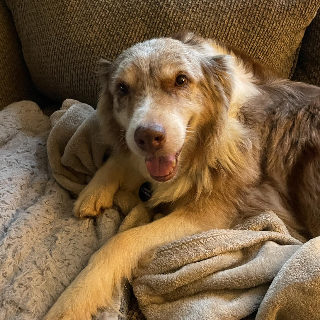 Meg