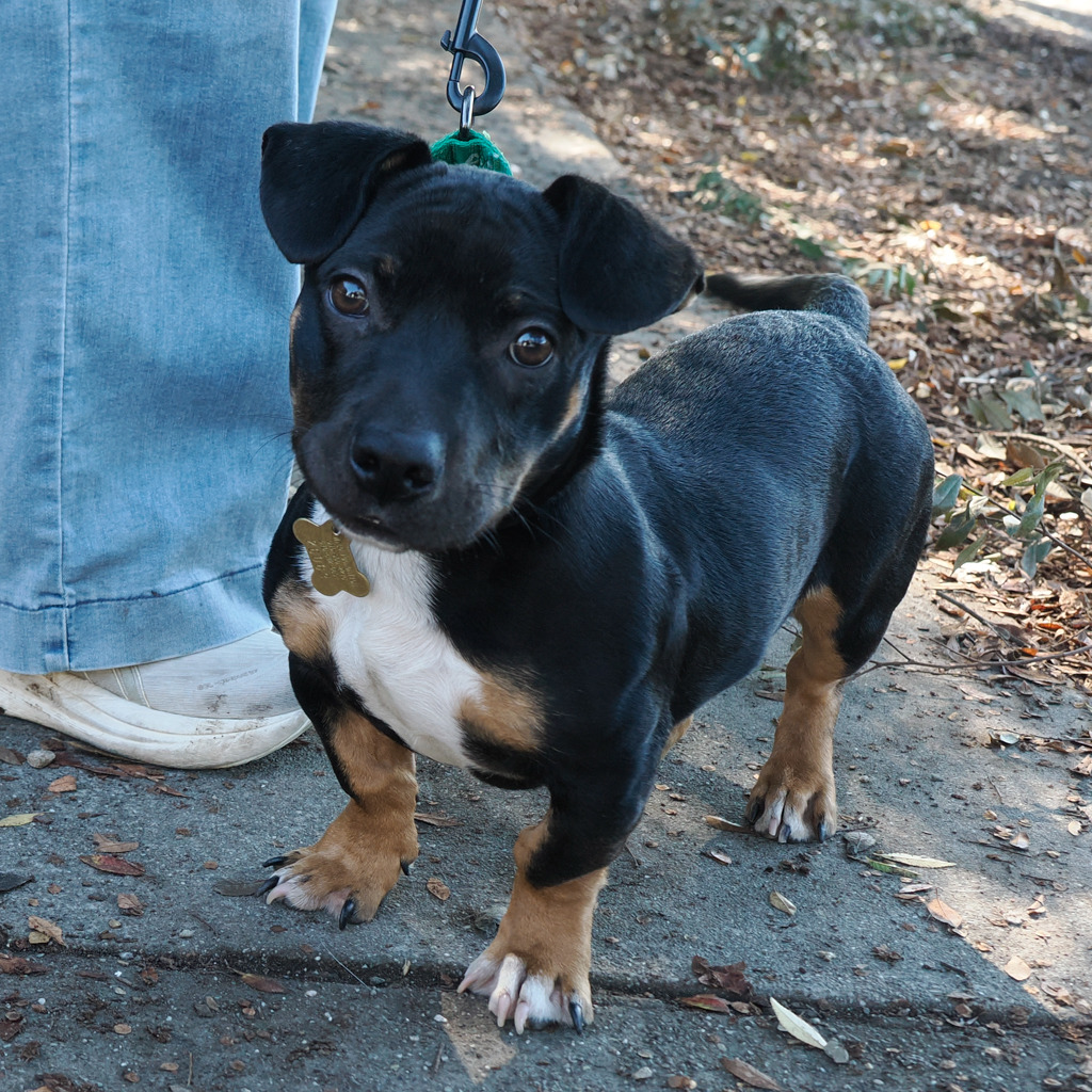 ZUKO, photo 4