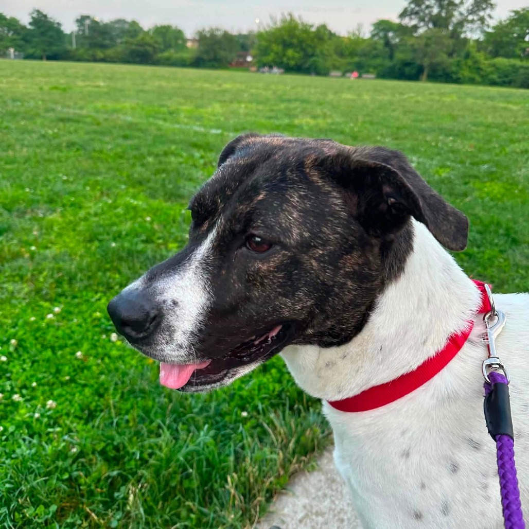Photo of Penny