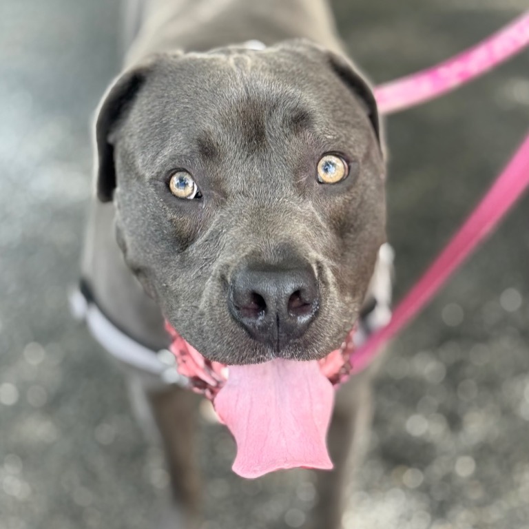 Full body shot of Hollywood