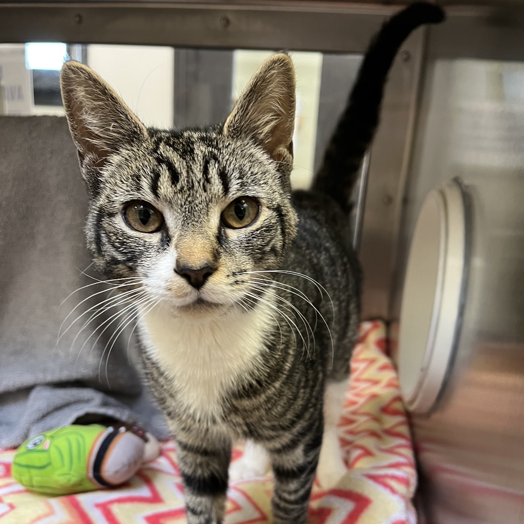 ce693582f8136ee2040966e4df8db994