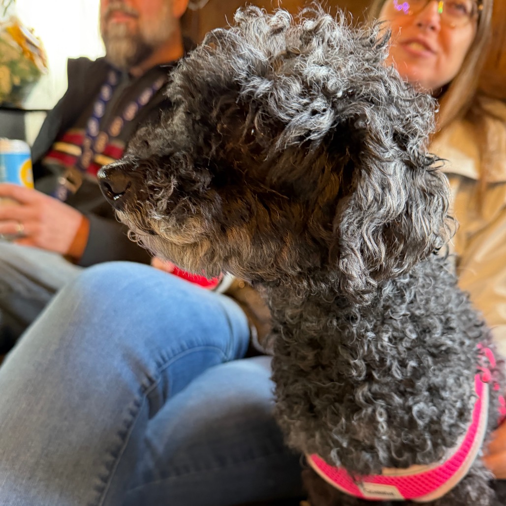 Willow (Whoopie), photo 18