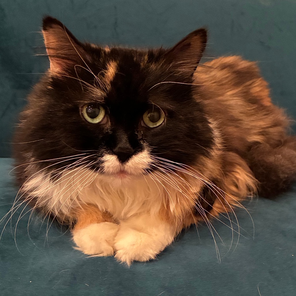Leah, photo 31