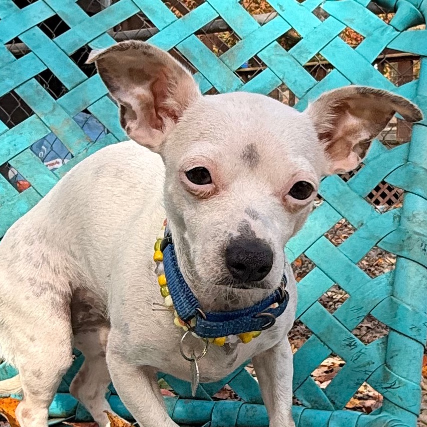 MINNIE, photo 25