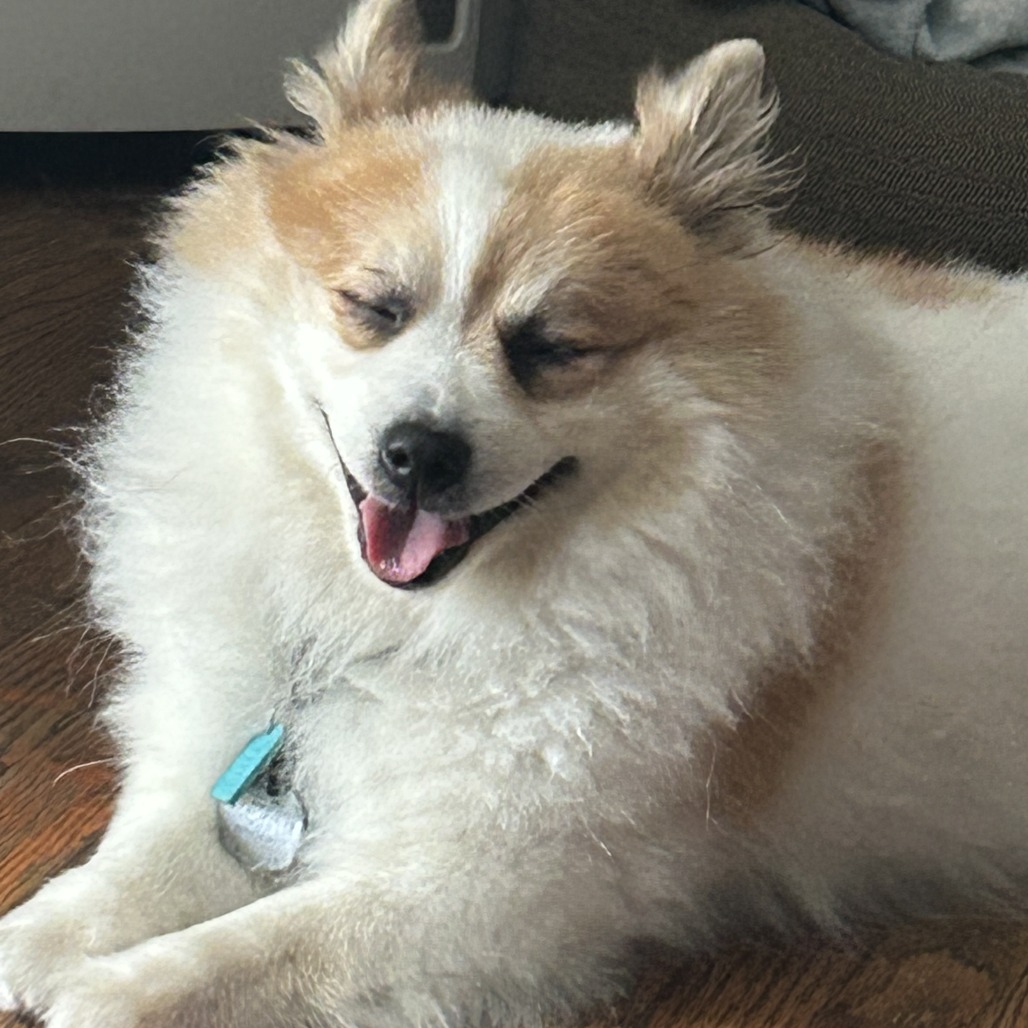 Bruno, photo 16