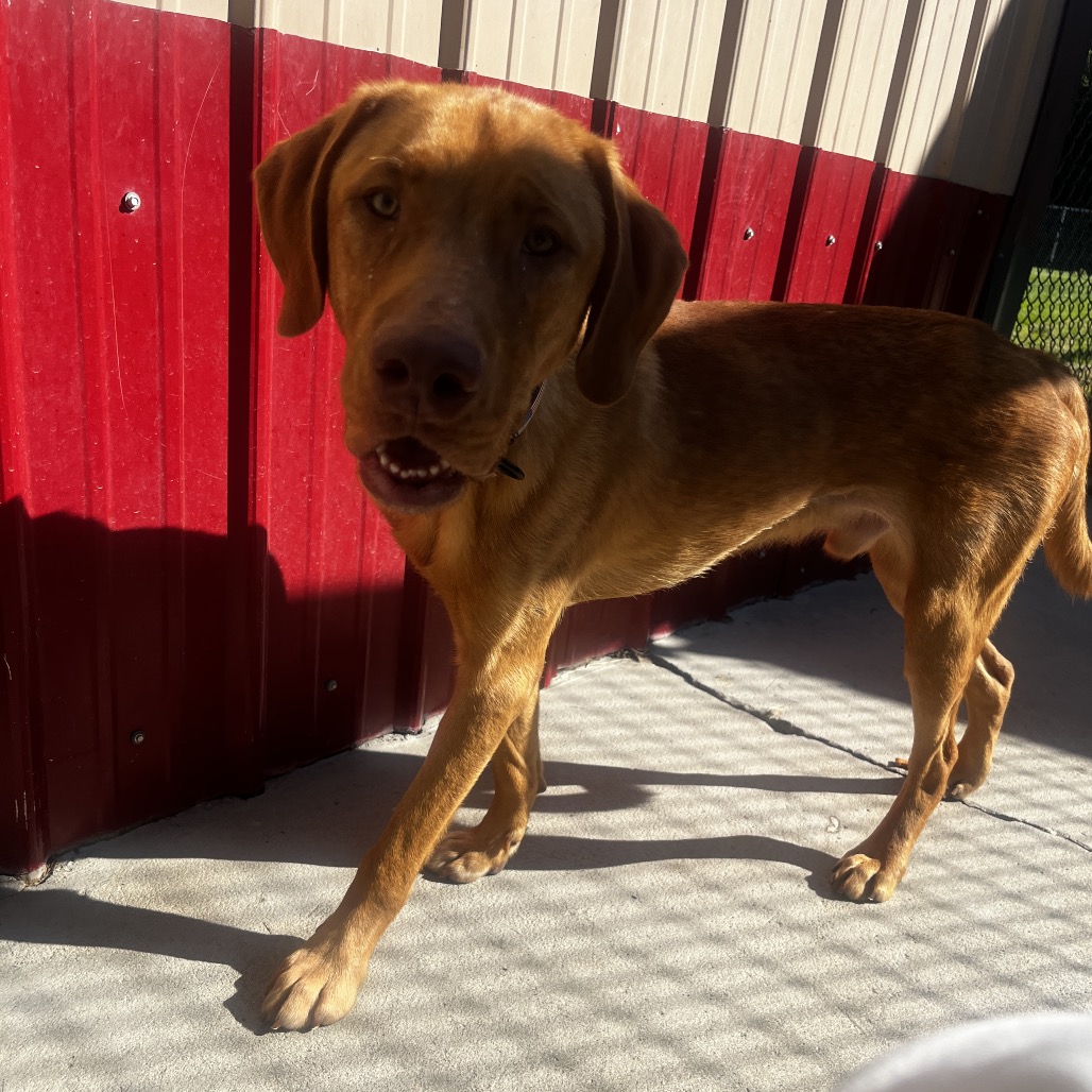 Butter, photo 7