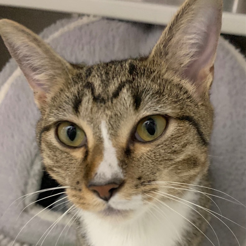 Close-up photo of Wanderin’ Winnie