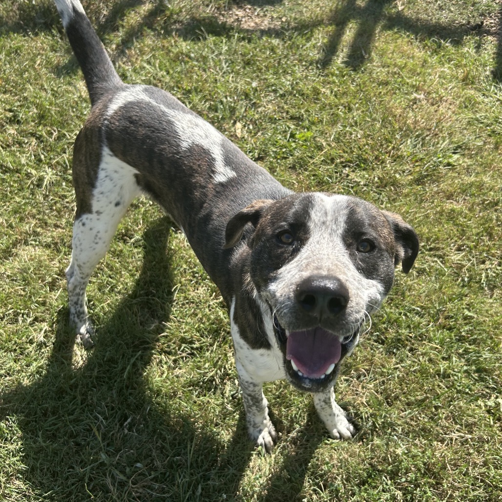 Marco — thumbnail 6