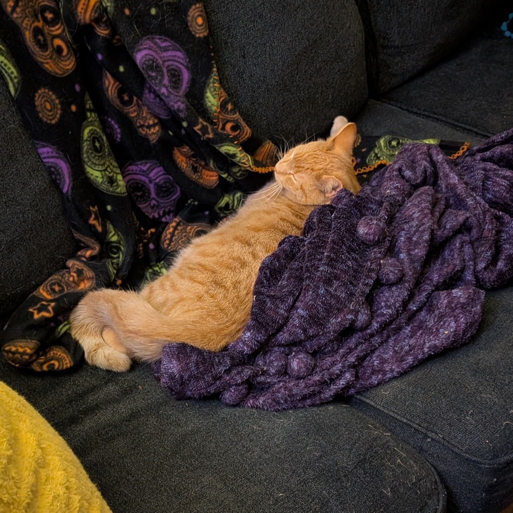 Charlie — thumbnail 5