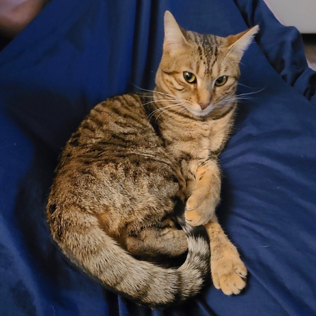 Photo of Clementine 3