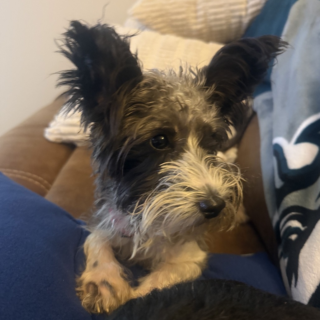 Sally, photo 21
