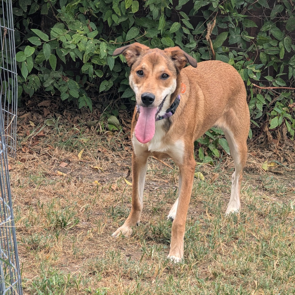 Cooper photo 14