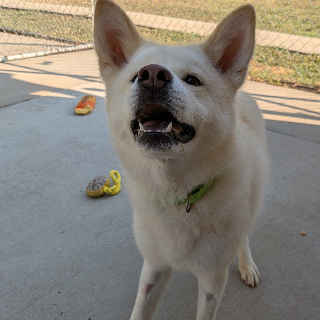 Maggie