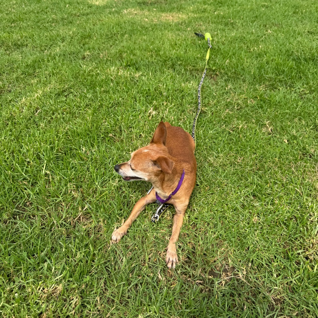 Amanda, photo 16