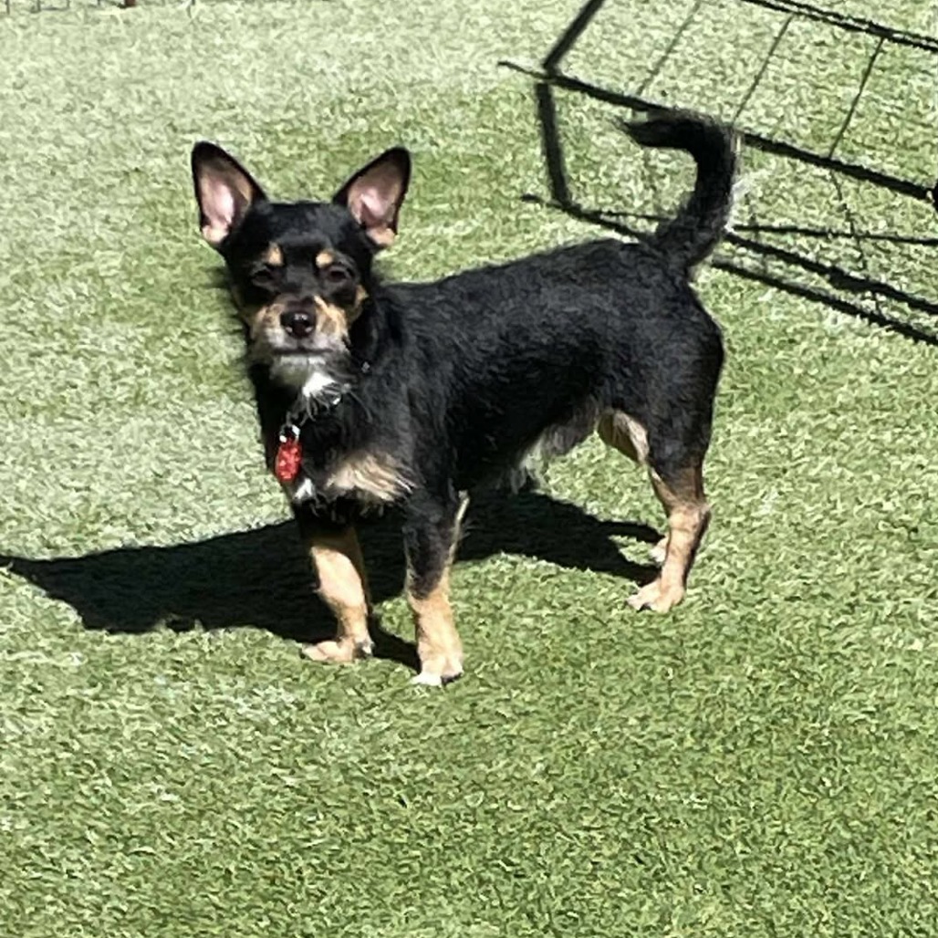 Juanito