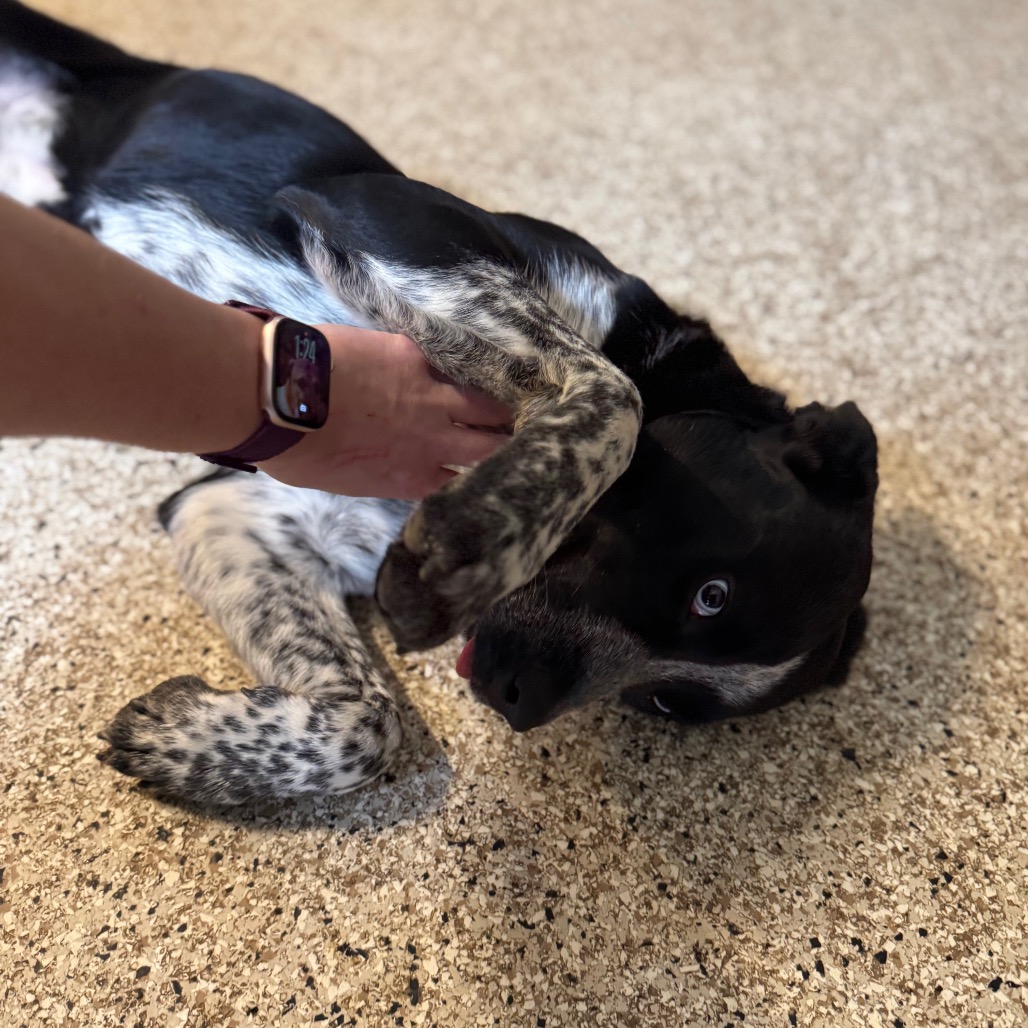 Jane — thumbnail 5