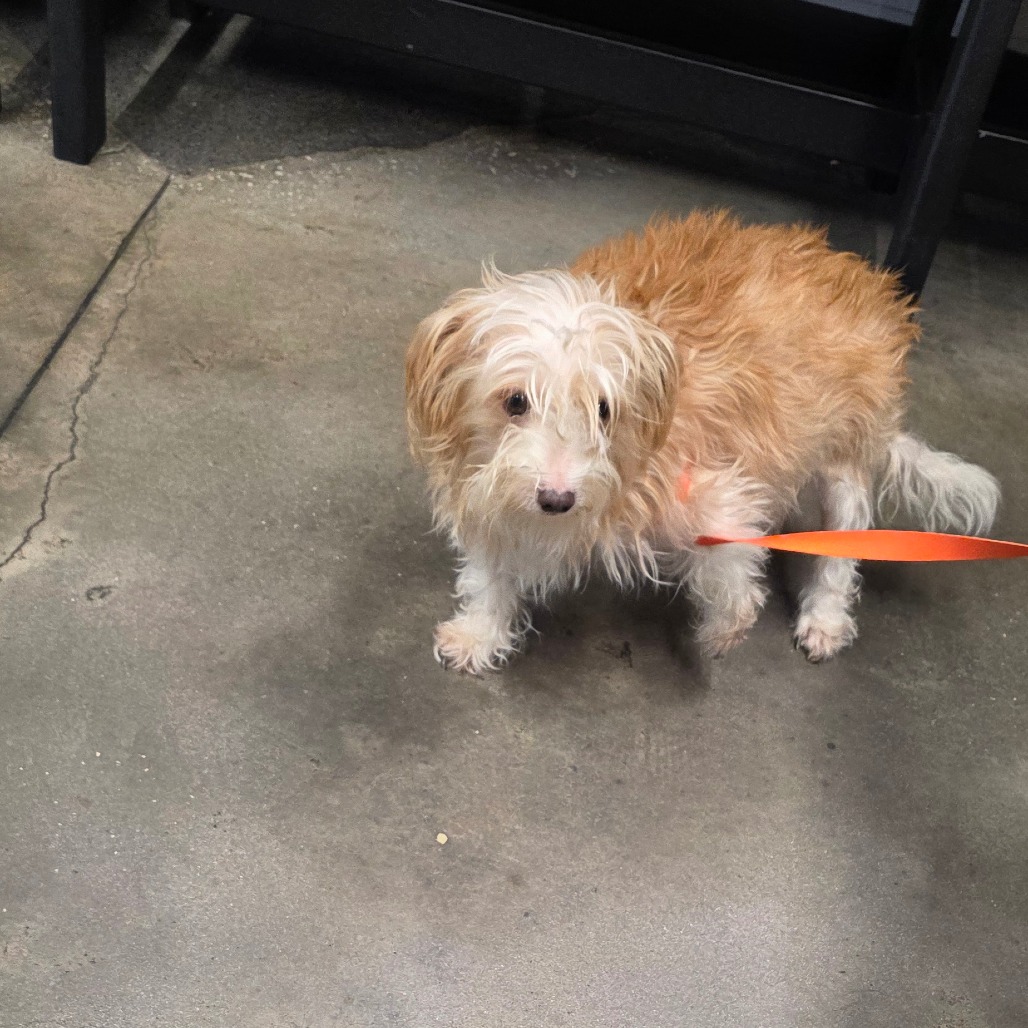 Laly — thumbnail 2