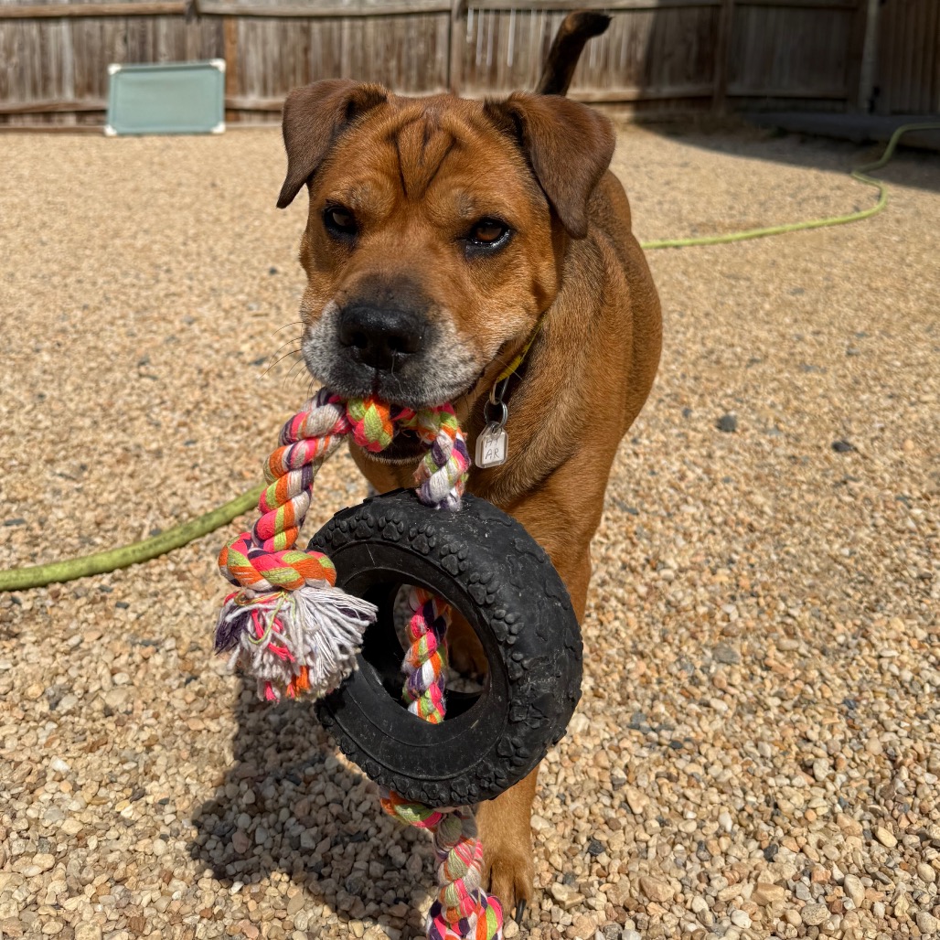 Zoey, photo 20