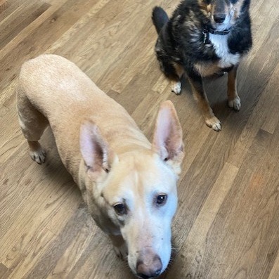 Jax — thumbnail 10