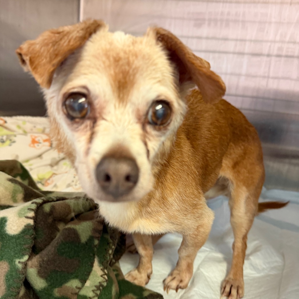 Pinky — thumbnail 3