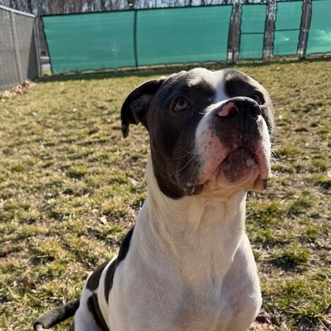 Don Gerald — thumbnail 3