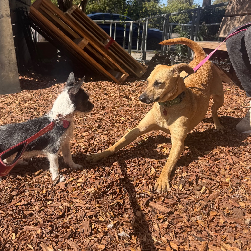 NALA, photo 5