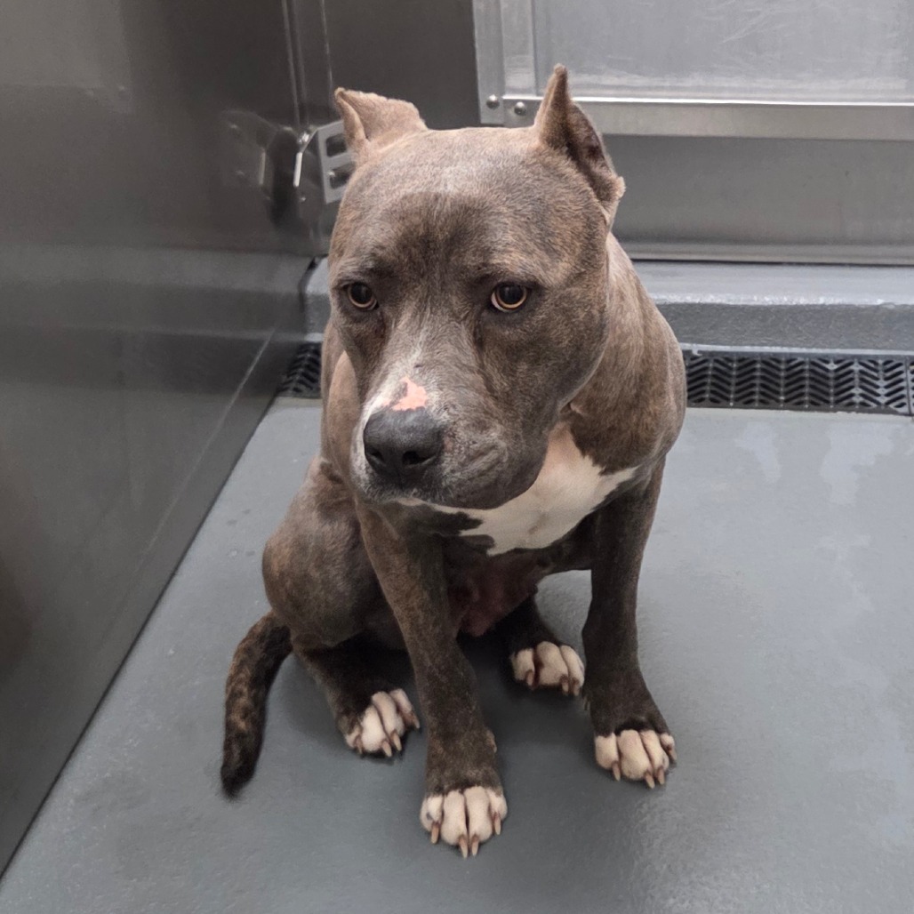 Rain — thumbnail 7