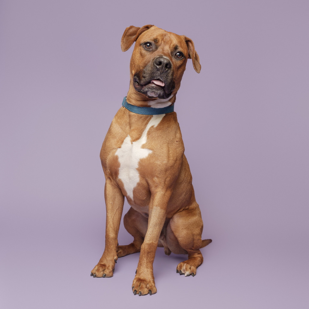 Photo of Apalachicola 12
