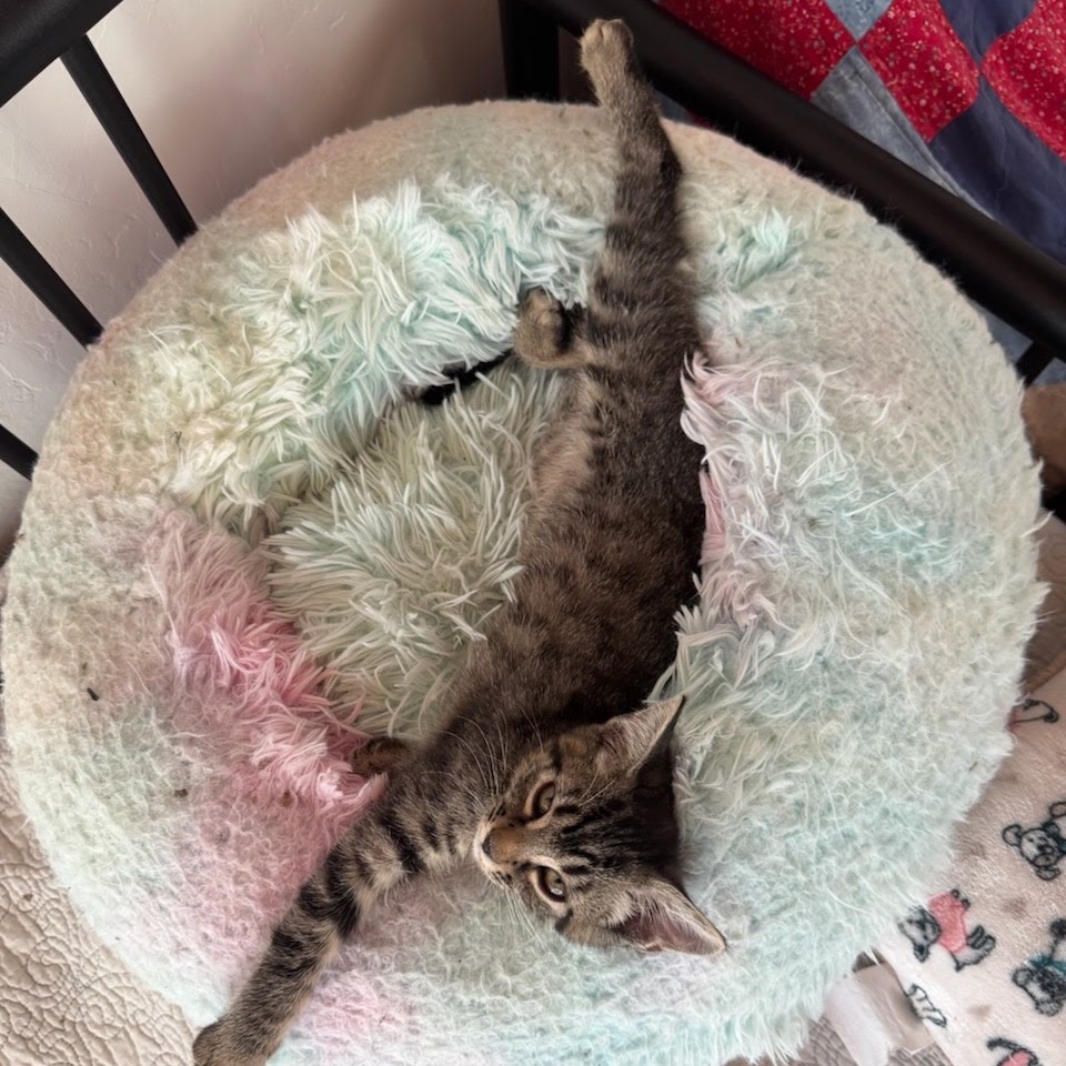 CLEO, photo 4