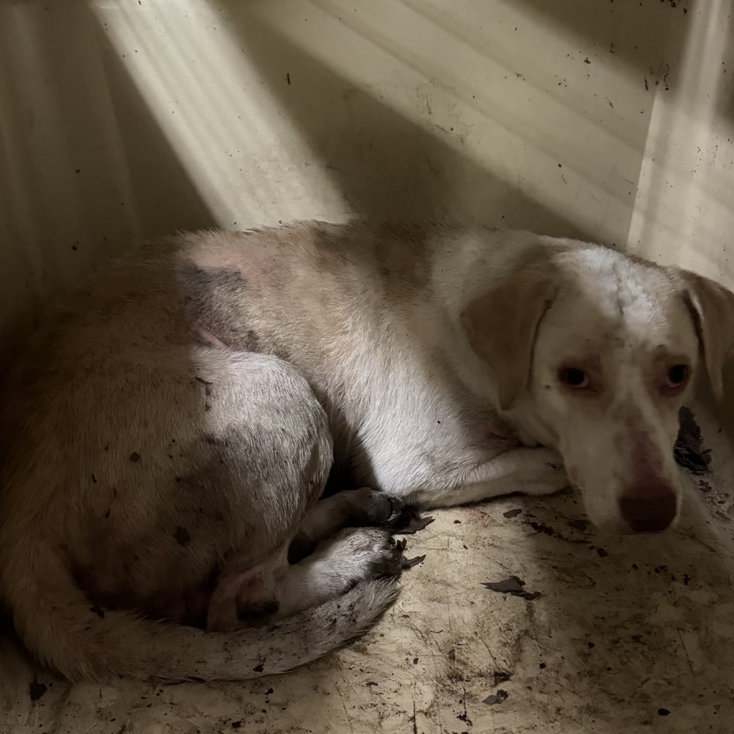 Tid-bit — thumbnail 2