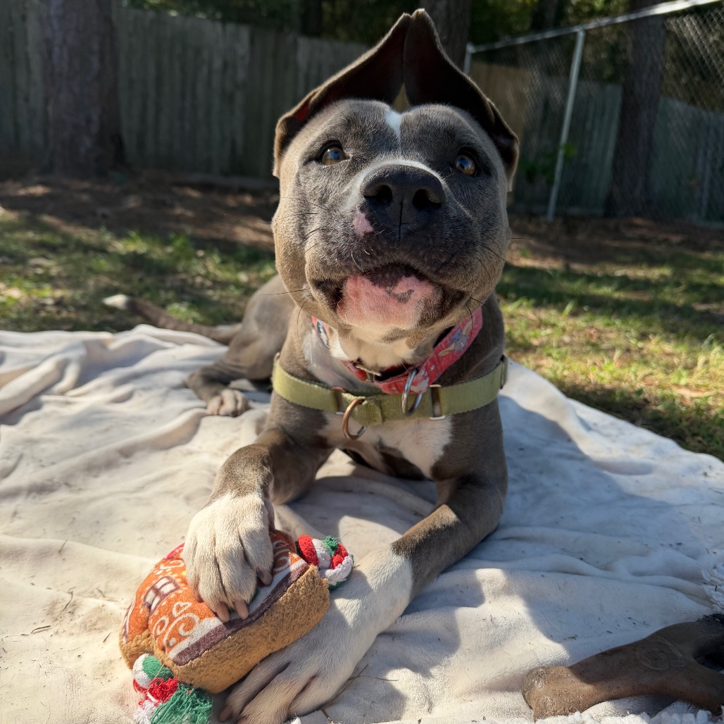 Hondo, photo 19