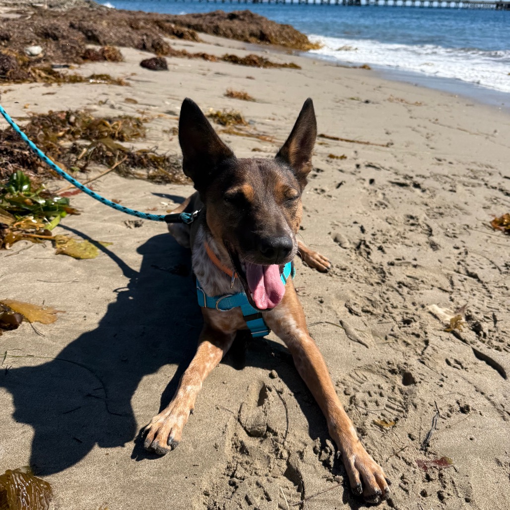 Cash, photo 33