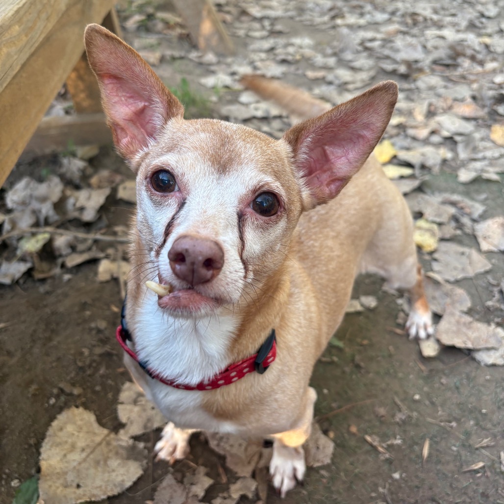 Maximilian-Foster — thumbnail 4