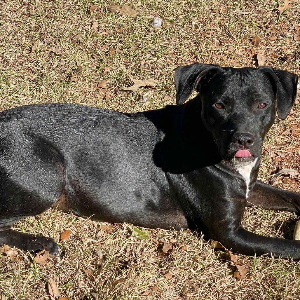Tia (waiting for 1 1/2 years), photo 3