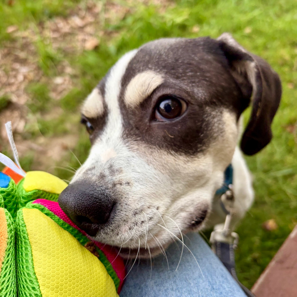 Tracker, photo 30