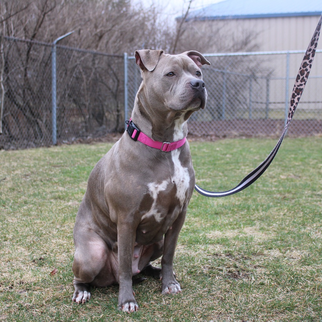 Skyrim — thumbnail 4