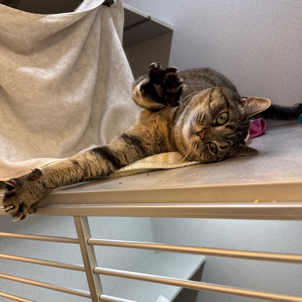 Photo of Phoebe 7