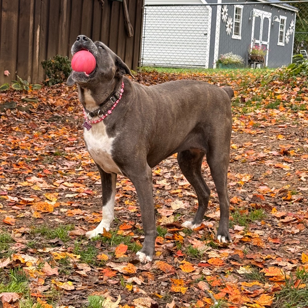 Big Luna, photo 25