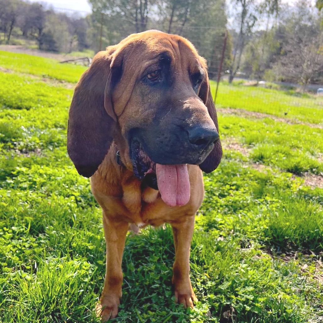 Lee Lou, photo 6