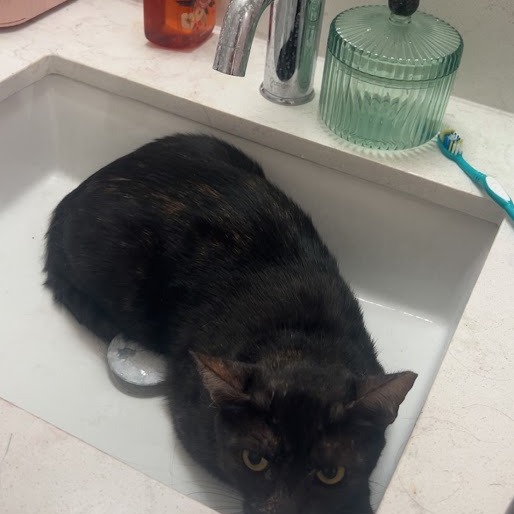 Princess Emily — thumbnail 4