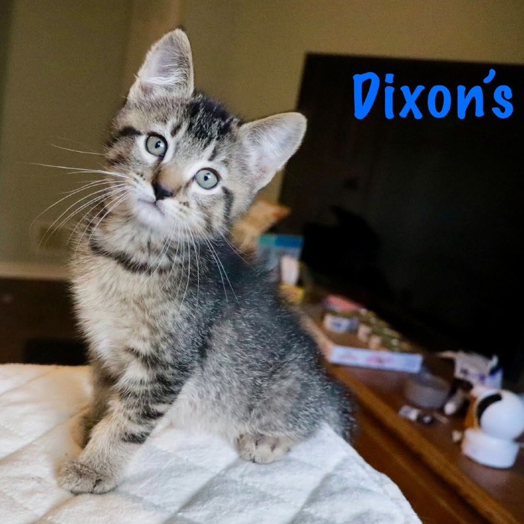Dixon's, photo 2