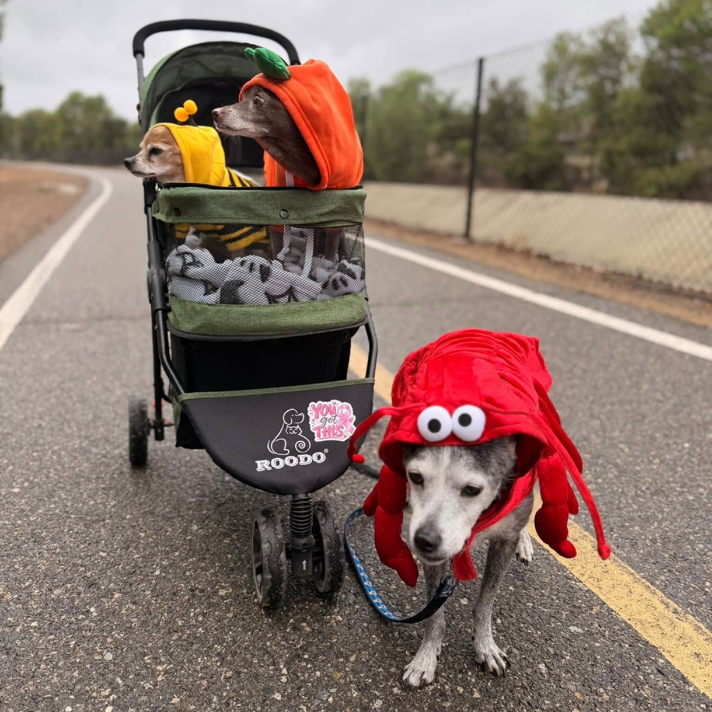 Oakley, photo 19