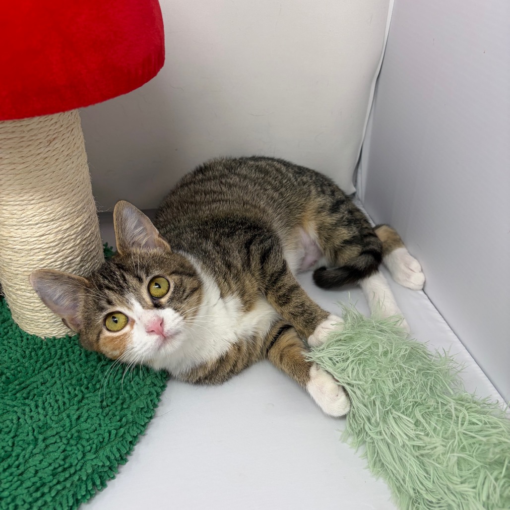 Anna — thumbnail 5