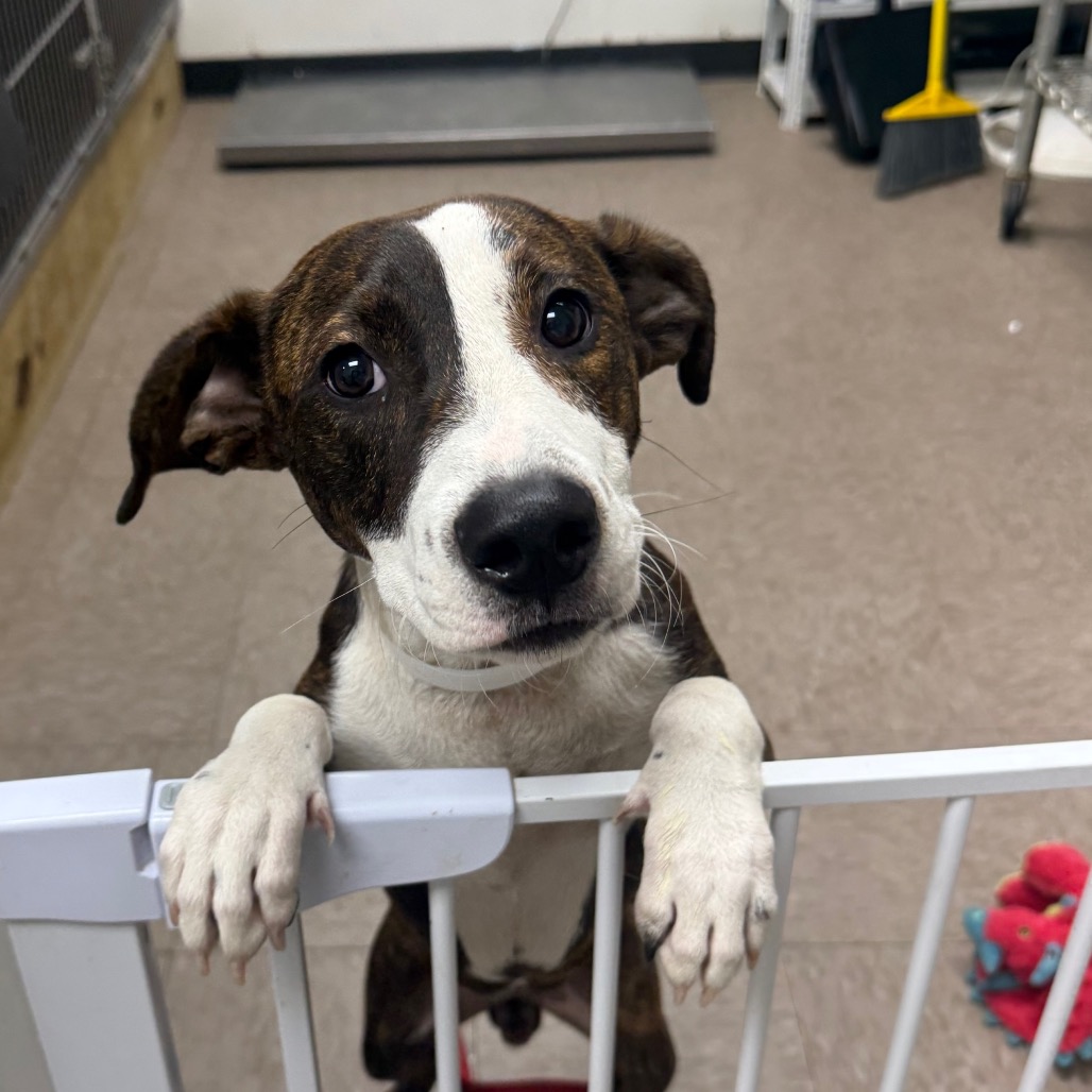 Winnie